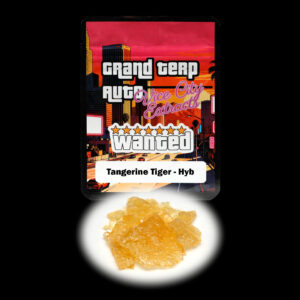“Grand Terp Auto Tangerine Tiger shatter concentrate featuring translucent light golden shatter with a glass-like appearance and stable snap-and-pull texture.”