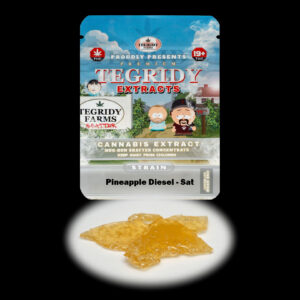“Tegridy Extracts Pineapple Diesel shatter concentrate featuring translucent light golden shatter with a clear glass-like appearance and stable texture.”